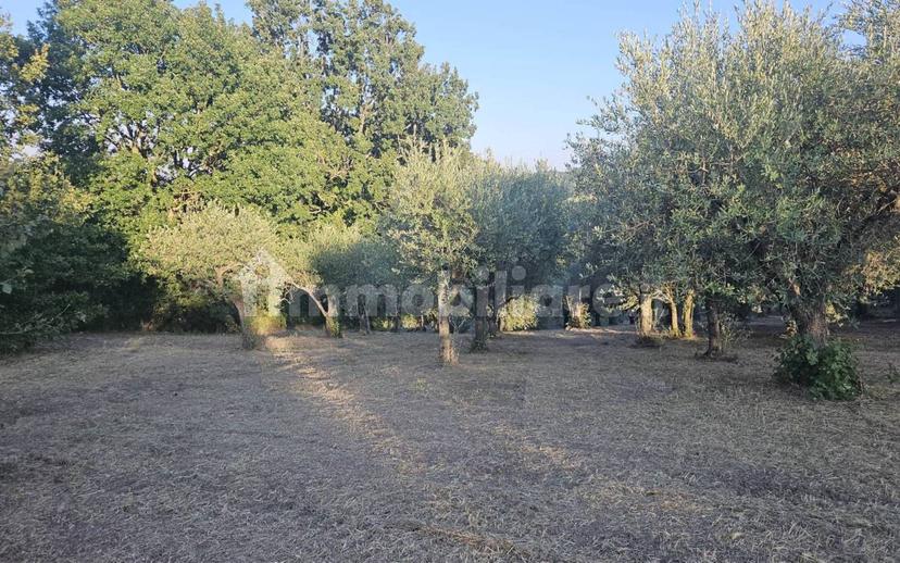 Villa unifamiliare Contrada Bosco, Bosco, Montemiletto — foto 8 di 22