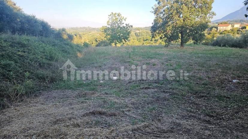 Villa unifamiliare Contrada Bosco, Bosco, Montemiletto — foto 17 di 22