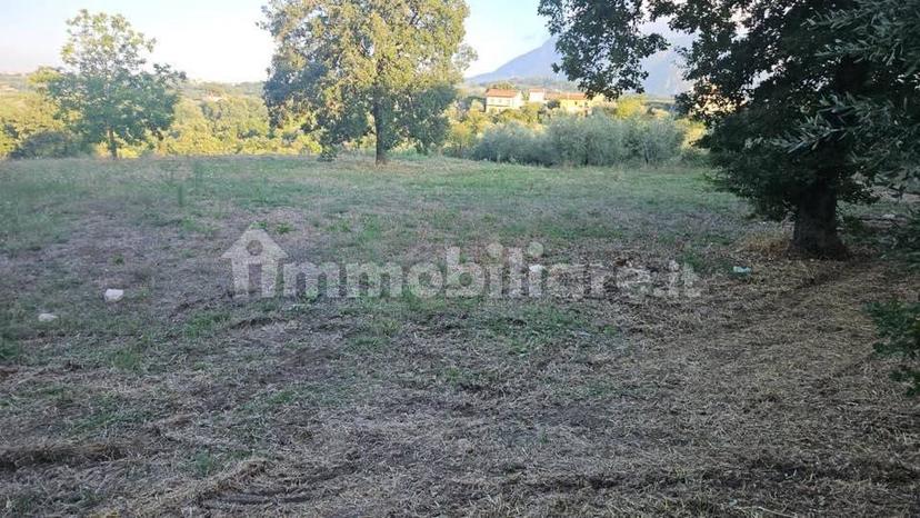 Villa unifamiliare Contrada Bosco, Bosco, Montemiletto — foto 21 di 22