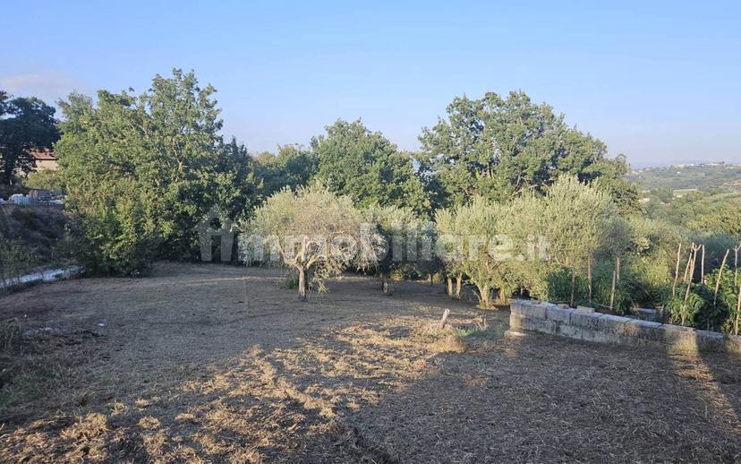 Villa unifamiliare Contrada Bosco, Bosco, Montemiletto — foto 19 di 22