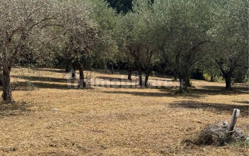 Villa unifamiliare Contrada Bosco, Bosco, Montemiletto — foto 7 di 22