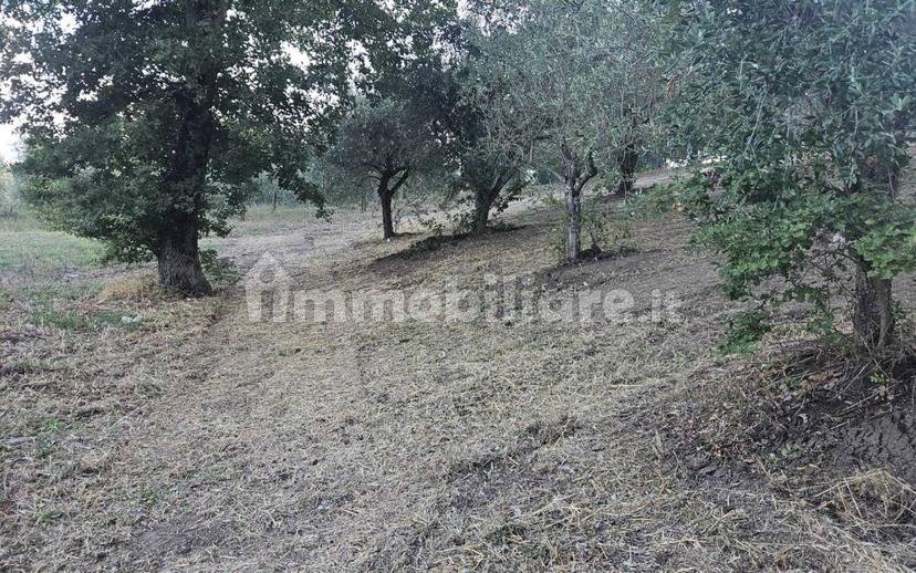 Villa unifamiliare Contrada Bosco, Bosco, Montemiletto — foto 18 di 22