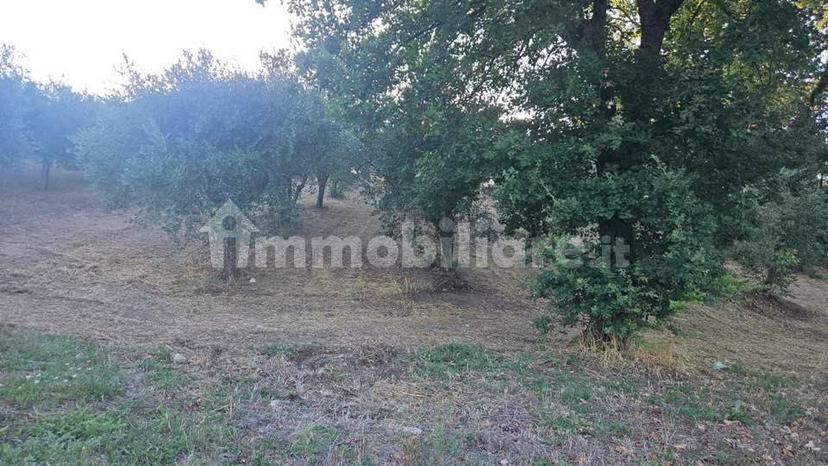 Villa unifamiliare Contrada Bosco, Bosco, Montemiletto — foto 15 di 22