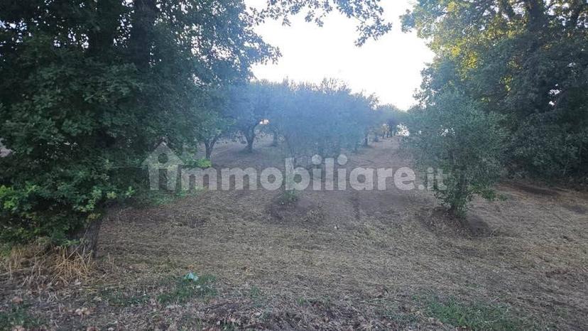Villa unifamiliare Contrada Bosco, Bosco, Montemiletto — foto 14 di 22