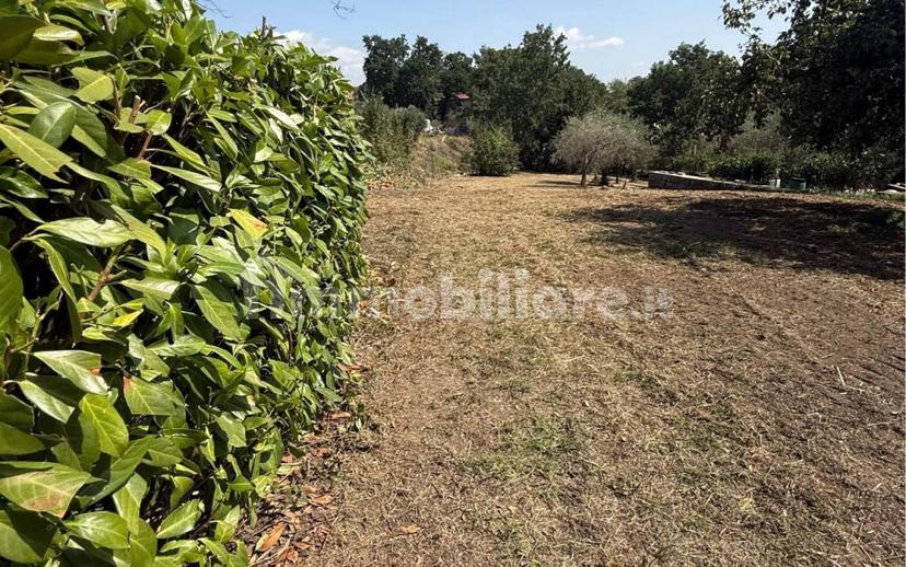 Villa unifamiliare Contrada Bosco, Bosco, Montemiletto — foto 10 di 22