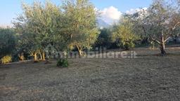 Villa unifamiliare Contrada Bosco, Bosco, Montemiletto