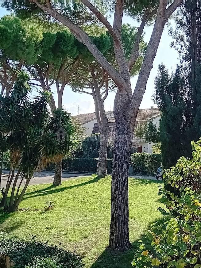 Trilocale via della Tormalina, Barbanella - Verde Maremma, Grosseto — foto 6 di 13