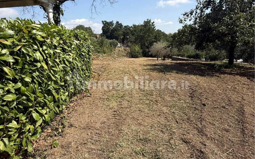 Villa unifamiliare Contrada Bosco, Bosco, Montemiletto — foto 16 di 22