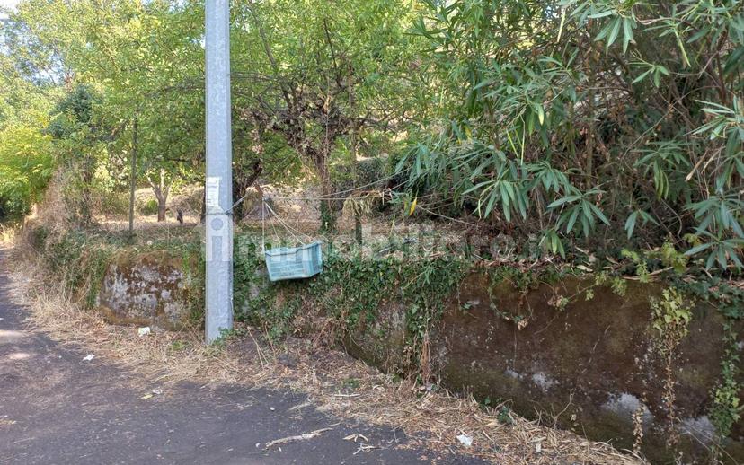Casa colonica via Castagneto Nuovo, Piedimonte Etneo — foto 15 di 21
