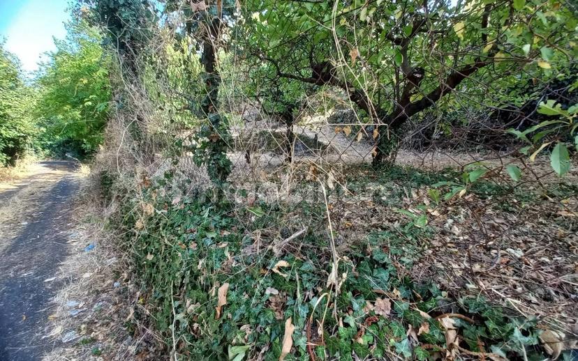 Casa colonica via Castagneto Nuovo, Piedimonte Etneo — foto 14 di 21