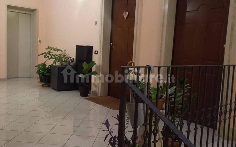 Quadrilocale via La Frazia, Calvi — foto 10 di 20