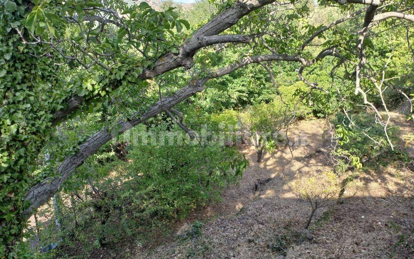 Casa colonica via Castagneto Nuovo, Piedimonte Etneo — foto 12 di 21