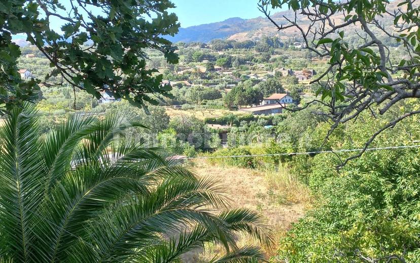 Casa colonica via Castagneto Nuovo, Piedimonte Etneo — foto 6 di 21