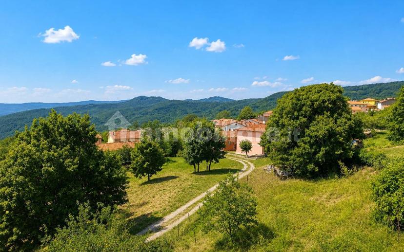 Appartamento via del Cornacchino 31, Selvena, Castell'Azzara