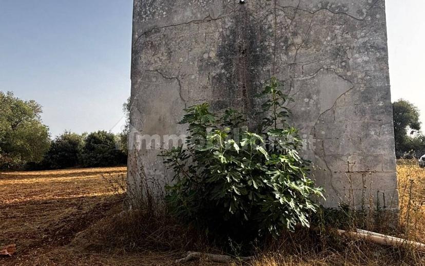 Rustico Sp22, Ceglie Messapica — foto 8 di 11
