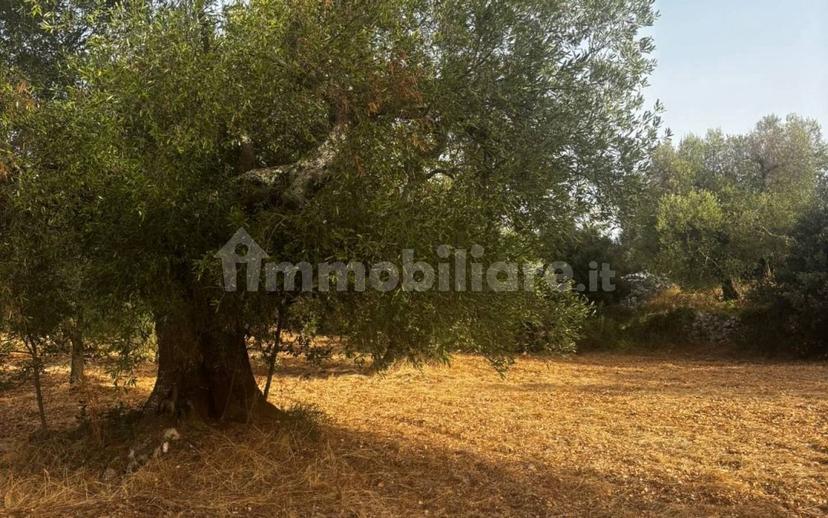 Rustico Sp22, Ceglie Messapica — foto 6 di 11