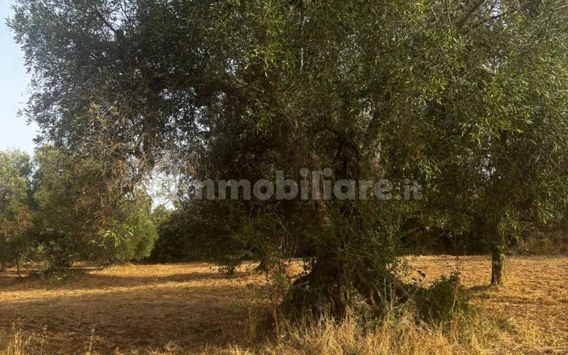 Rustico Sp22, Ceglie Messapica — foto 7 di 11
