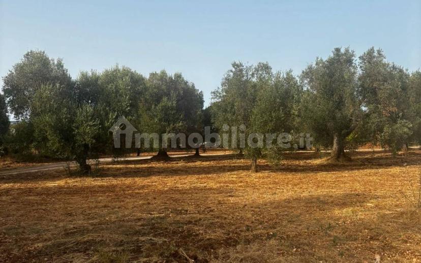 Rustico Sp22, Ceglie Messapica — foto 10 di 11