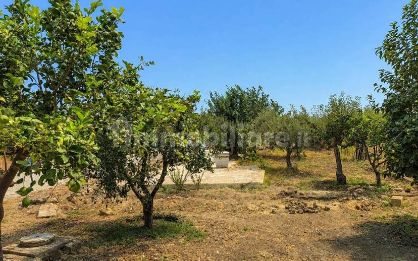 Villa unifamiliare Strada Statale 115, Marinella, Castelvetrano — foto 12 di 21