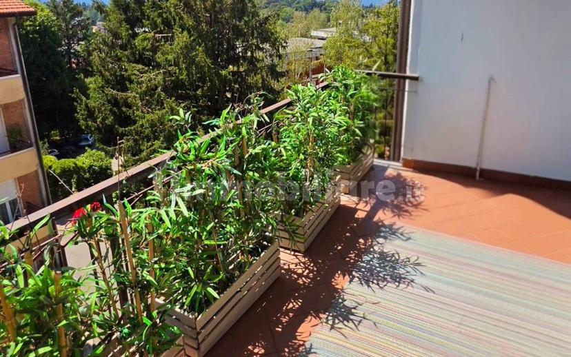 Quadrilocale ottimo stato, quinto piano, Velate - Avigno, Varese — foto 14 di 28