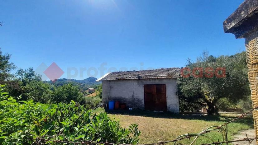 Rustico Valle San Andrea , snc, Veroli — foto 2 di 10