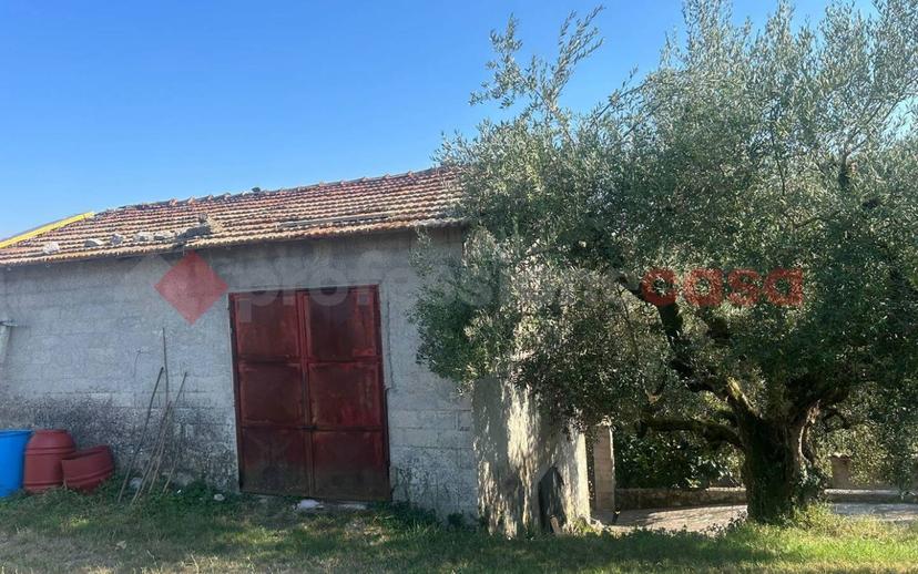 Rustico Valle San Andrea , snc, Veroli — foto 10 di 10