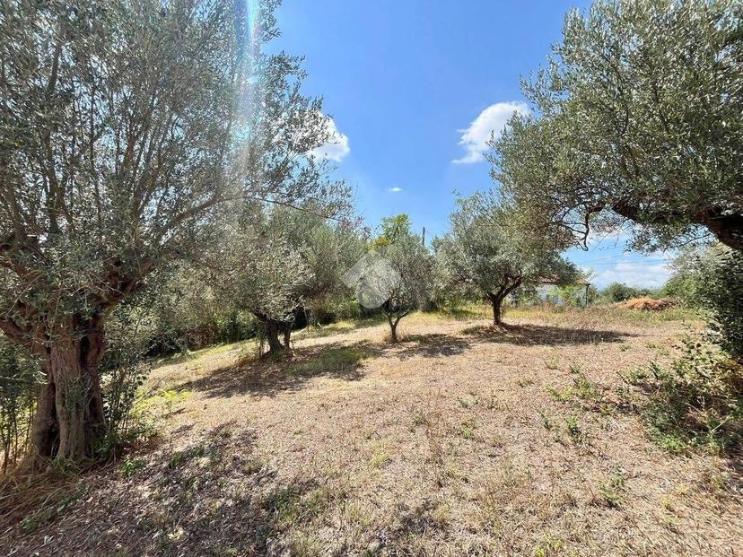Terratetto unifamiliare SC Panetti 132, Rizzacorno, Lanciano — foto 17 di 23