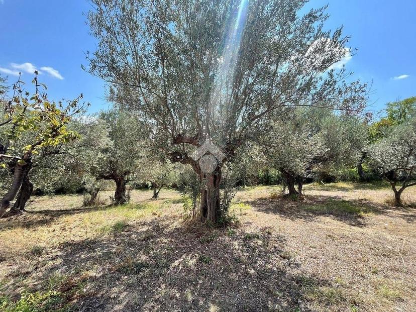 Terratetto unifamiliare SC Panetti 132, Rizzacorno, Lanciano — foto 18 di 23