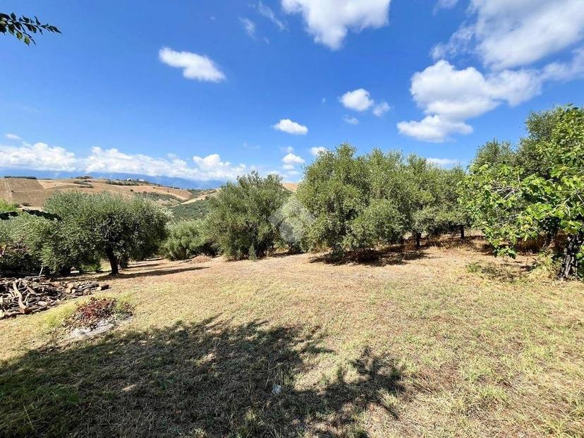 Terratetto unifamiliare SC Panetti 132, Rizzacorno, Lanciano — foto 12 di 23