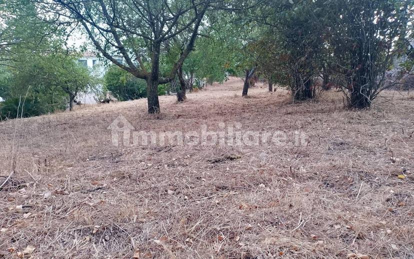 Villa unifamiliare Strada Taranto zona F 80, Martina Franca — foto 4 di 20