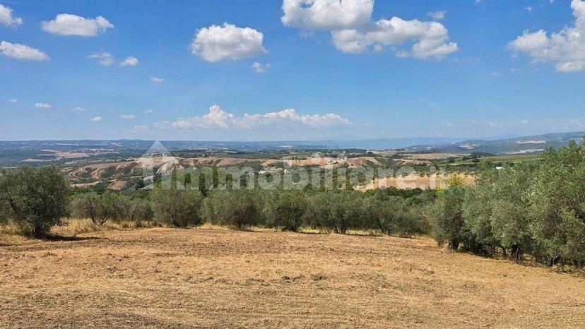 Villa a schiera via Selvarella 11, Montecchio — foto 29 di 39