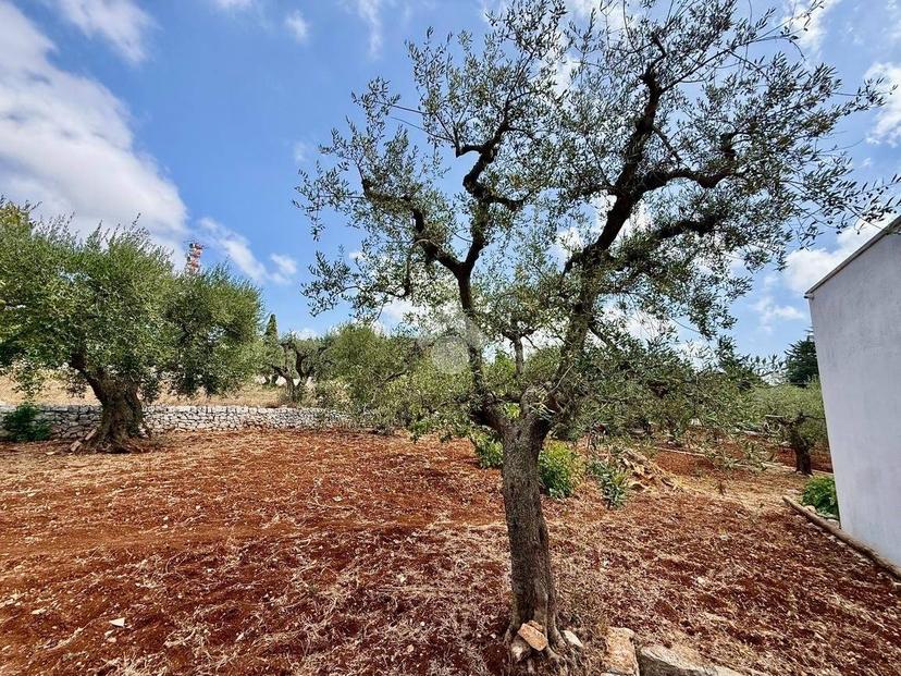 Terratetto unifamiliare Contrada Impalata, Impalata, Monopoli — foto 35 di 38