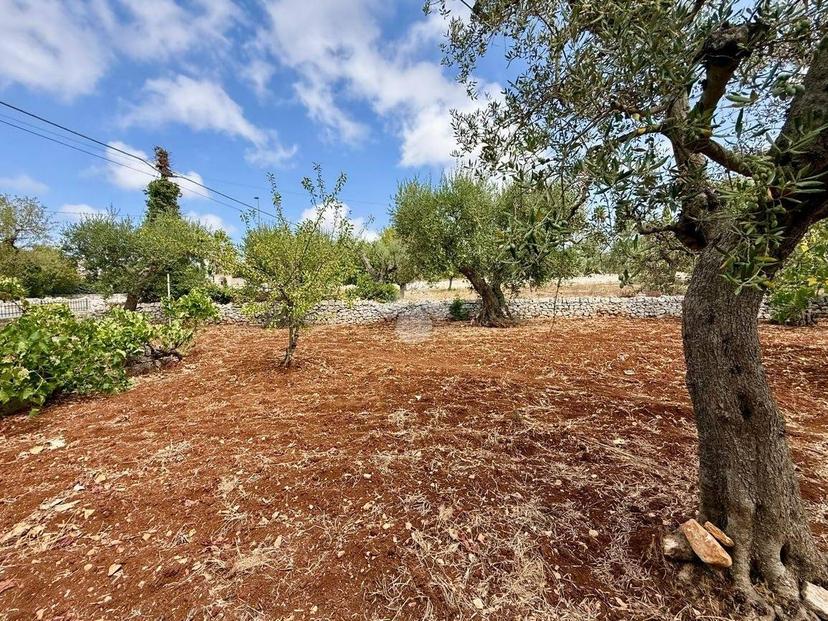 Terratetto unifamiliare Contrada Impalata, Impalata, Monopoli — foto 38 di 38