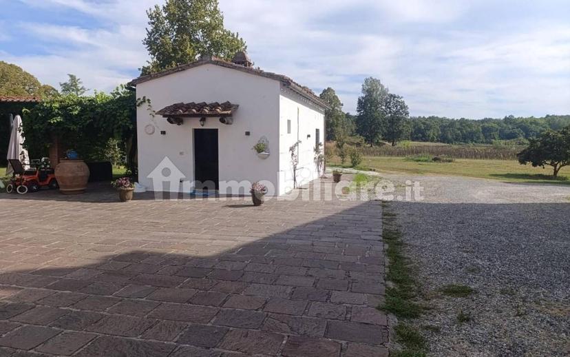 Bilocale ottimo stato, piano terra, Centro, Calcinaia — foto 13 di 13