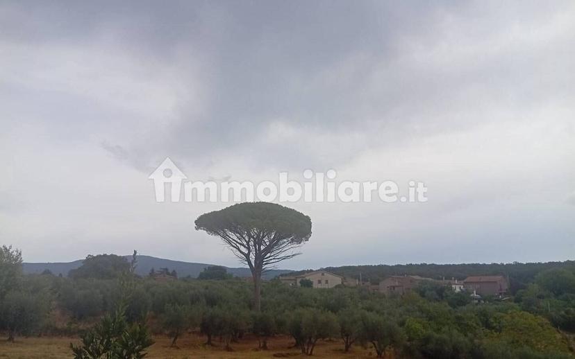 Bilocale Strada della Pietrara 53, Pietrara, Vetralla