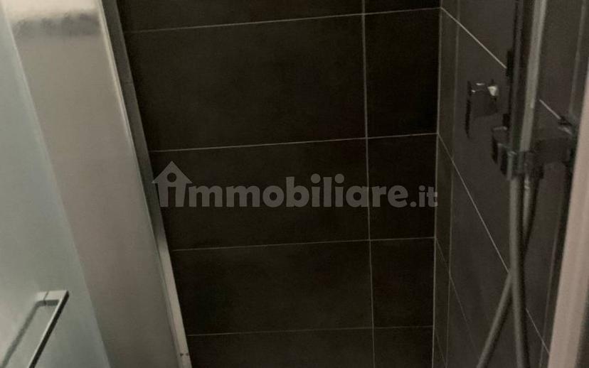 Quadrilocale nuovo, quinto piano, Oneglia, Imperia — foto 36 di 60
