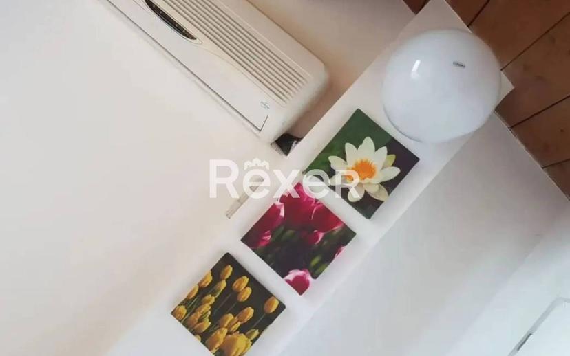 Villa a schiera via del Gavitello, Casalborsetti, Ravenna — foto 2 di 15