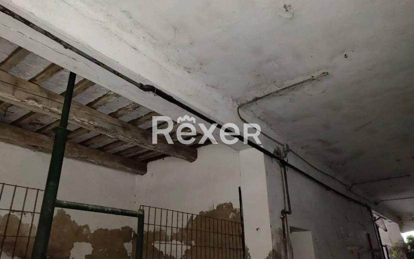 Casale via del Sale, San Pietro in Trento - Coccolia, Ravenna — foto 9 di 20