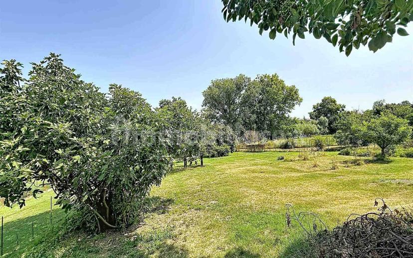 Terratetto unifamiliare 360 m², ottimo stato, San Martino dall'Argine — foto 30 di 43