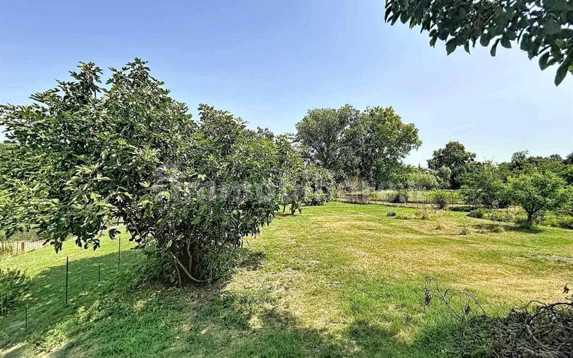 Terratetto unifamiliare 360 m², ottimo stato, San Martino dall'Argine — foto 40 di 43