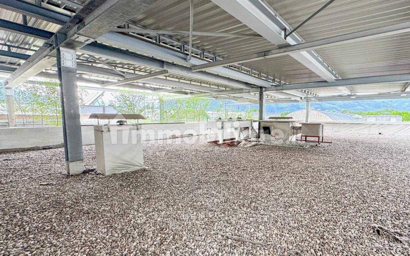 Appartamento piano terra, Oltrisarco - Aslago, Bolzano — foto 26 di 26