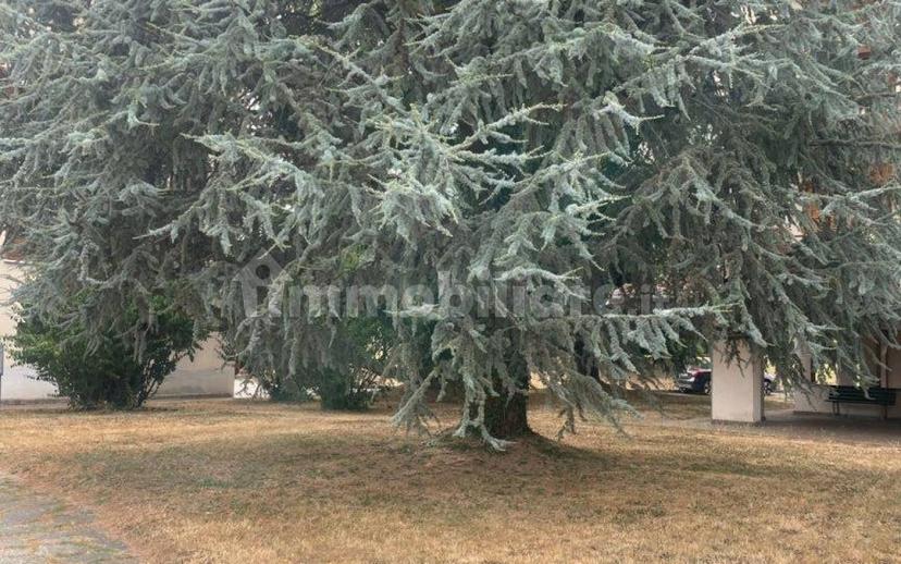 Appartamento via 20 Settembre 11, Gaglianico — foto 15 di 37