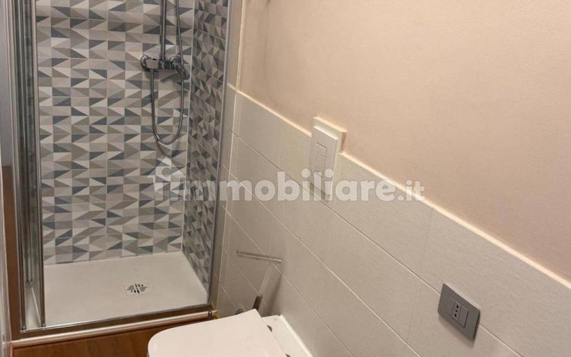 Appartamento ottimo stato, quinto piano, Baragalla - Canalina, Reggio Emilia — foto 21 di 24