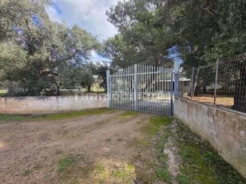 Villa unifamiliare via Spezzatarallo, 25, Martina Franca — foto 13 di 21