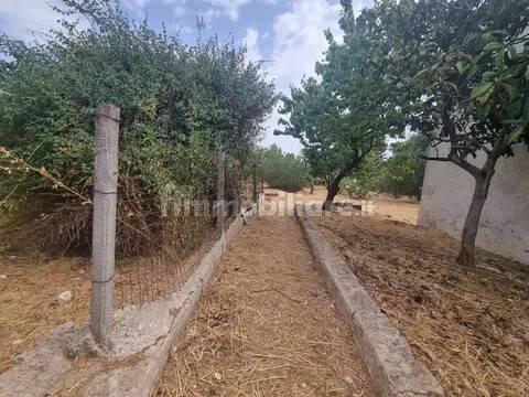 Rustico via Fosse Ardeatine No Number, Villa Castelli — foto 7 di 23