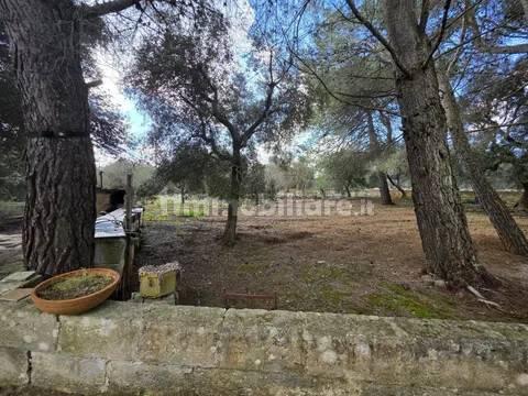 Villa unifamiliare via Spezzatarallo, 25, Martina Franca — foto 21 di 21