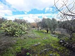 Villa unifamiliare via Spezzatarallo, 25, Martina Franca