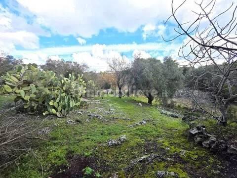 Villa unifamiliare via Spezzatarallo, 25, Martina Franca