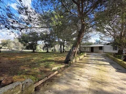 Villa unifamiliare via Spezzatarallo, 25, Martina Franca — foto 20 di 21