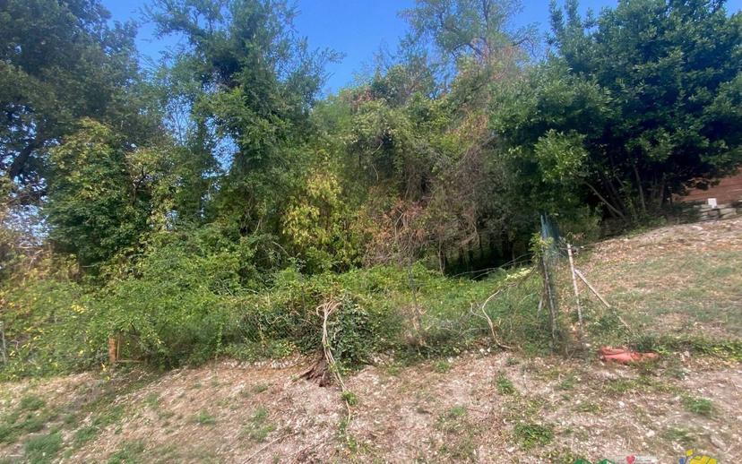 Terratetto unifamiliare strada della borgata 19, Lesignano Palmia, Terenzo — foto 21 di 25